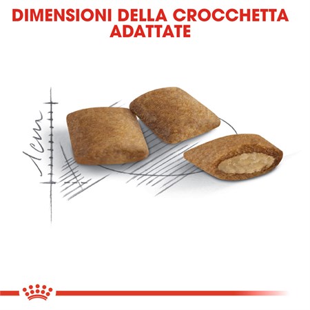 Royal Canin Senior Ageing 400 gr Crocchette Gatto Anziano in Gatti