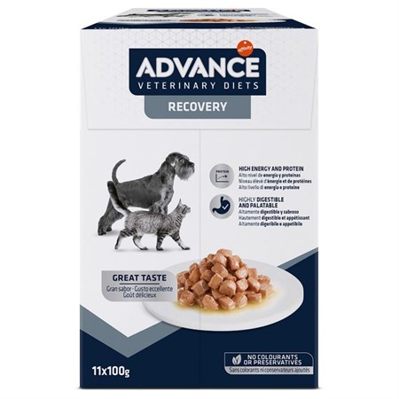 Advance Veterinary Diets Recovery 100 gr Alimento Umido Cani Gatti in Gatti
