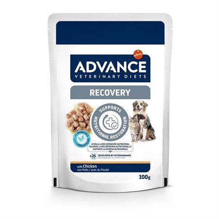 Advance Veterinary Diets Recovery 100 gr Alimento Umido Cani Gatti in Gatti