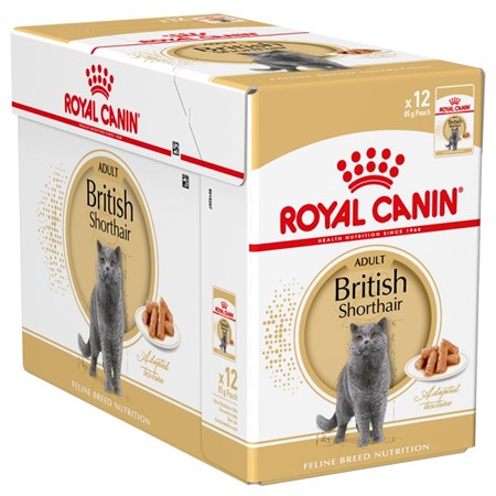 Royal Canin British Shorthair Adult Umido 85 gr Per Gatti in Gatti