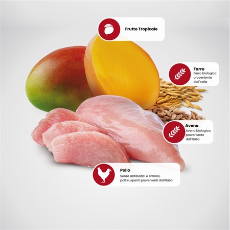 Farmina ND Tropical Fruits Adult Medium Maxi Pollo 10 kg Cibo Per Cani in Cani
