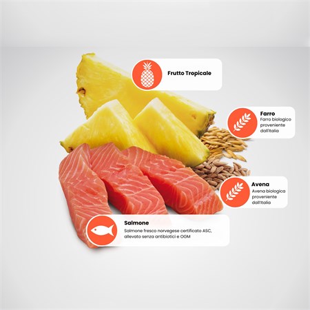 Farmina ND Tropical Fruits Adult Medium Maxi Salmone 10 Kg Cibo Per Cani in Cani