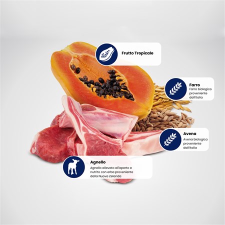 Farmina ND Tropical Fruits Neutered Agnello 5 Kg Cibo Per Gatti Sterilizzati in Gatti