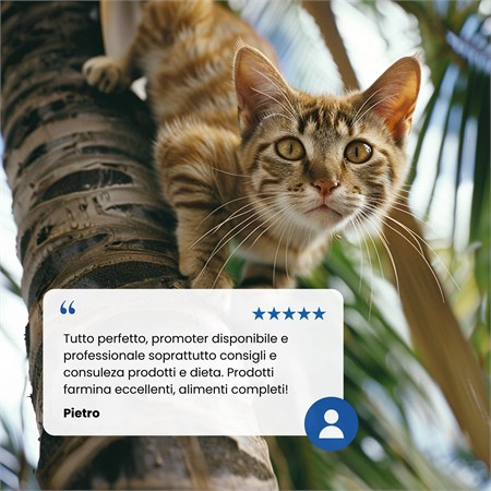 Farmina ND Tropical Fruits Neutered Agnello 5 Kg Cibo Per Gatti Sterilizzati in Gatti