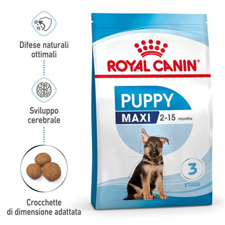 Royal Canin Maxi Puppy 10 kg Crocchette Per Cuccioli in Cani