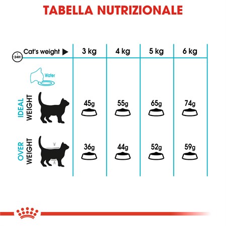 Royal Canin Urinary Care Mantenimento 4 kg Gatto in Gatti