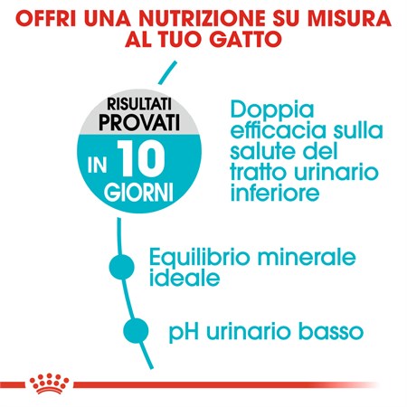 Royal Canin Urinary Care Mantenimento 4 kg Gatto in Gatti