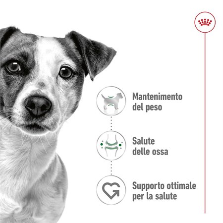 Royal Canin Mini Adult kg 2 in Cani