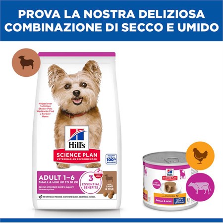 Hill's Science Plan Small Mini Adult con Agnello 6 Kg Crocchette Per Cani in Cani