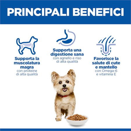 Hill's Science Plan Small Mini Adult con Agnello 6 Kg Crocchette Per Cani in Cani