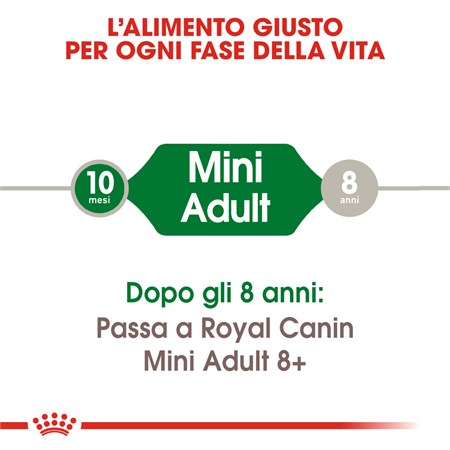Royal Canin Mini Adult 8 kg Cibo Secco Cani in Cani