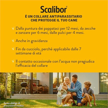 Scalibor Collare Antiparassitario per cani taglia piccola e media 48 cm in Cani