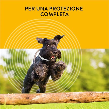 Scalibor Collare Antiparassitario per cani taglia piccola e media 48 cm in Cani