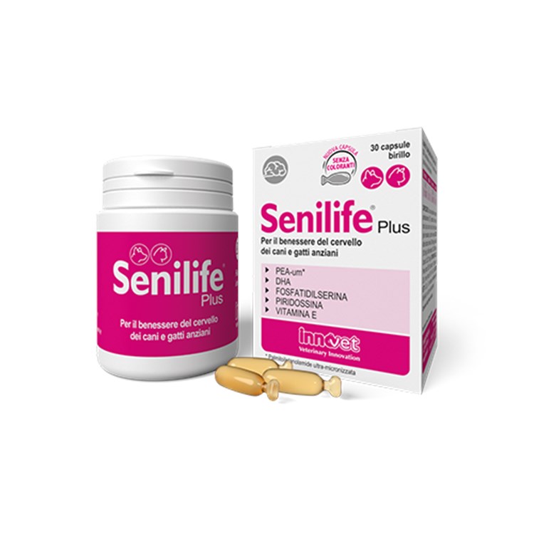 Innovet Senilife Plus 60 Capsule Birillo Per Cani e Gatti