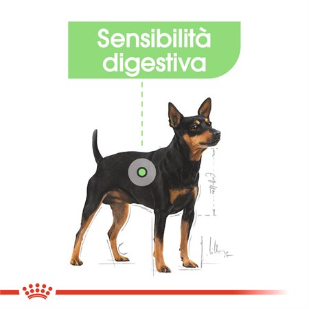 Royal Canin Mini Digestive Care 3 kg in Cani
