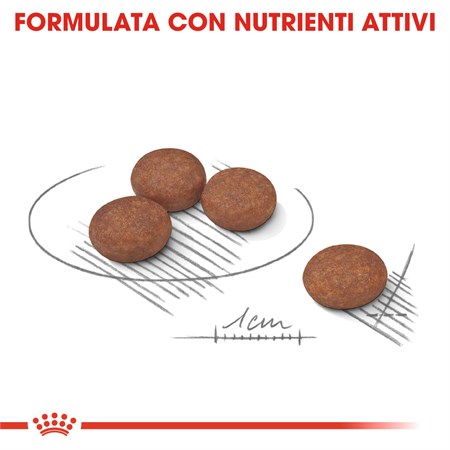 Royal Canin Mini Digestive Care 3 kg in Cani