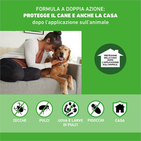 Frontline Combo Per Cani M da 10 a 20 kg 3 Pipette in Cani