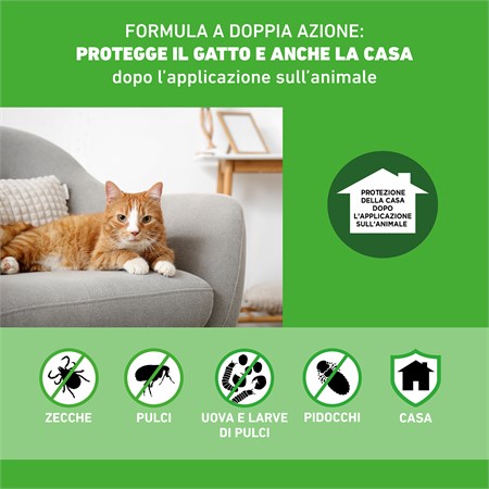 Frontline Combo Per Gatti 3 Pipette da 0,5 ml in Gatti