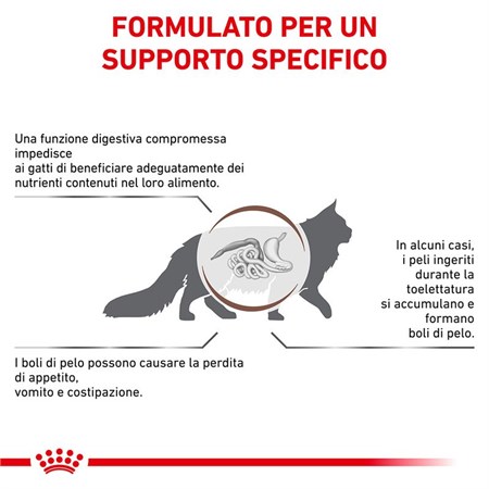 Royal Canin GASTRO INTESTINAL Hairball Veterinary 2 Kg Crocchette per gatti in Gatti