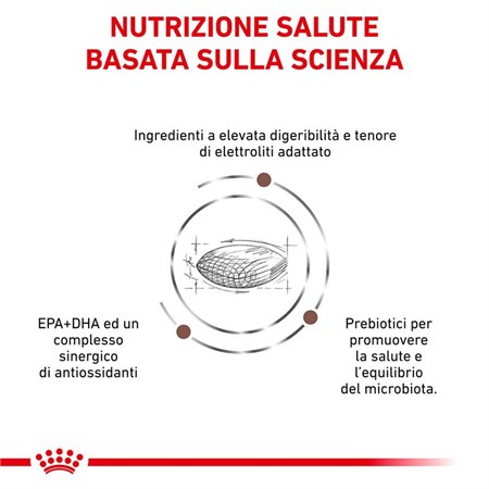 Royal Canin GASTRO INTESTINAL Hairball Veterinary 2 Kg Crocchette per gatti in Gatti