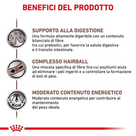 Royal Canin GASTRO INTESTINAL Hairball Veterinary 2 Kg Crocchette per gatti in Gatti