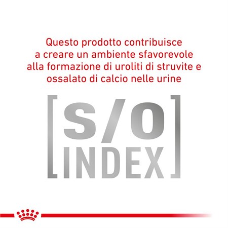 Royal Canin GASTRO INTESTINAL Hairball Veterinary 2 Kg Crocchette per gatti in Gatti