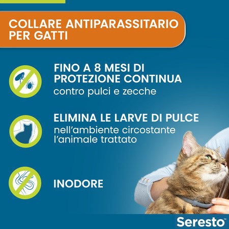 Collare Seresto Per Gatti Collare Antiparassitario in Gatti