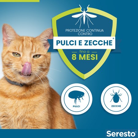 Collare Seresto Per Gatti Collare Antiparassitario in Gatti