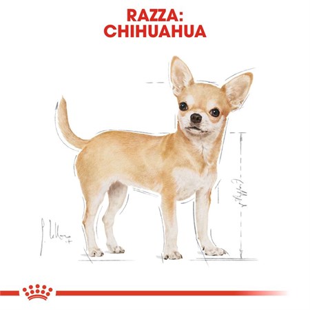 Royal Canin Chihuahua Mousse 85 Gr Bustina Umido Per Cane in Cani