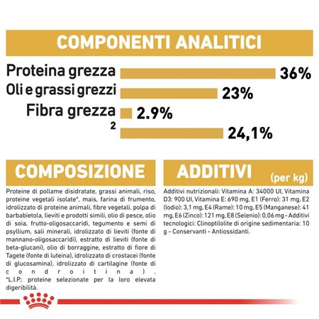 Royal Canin Kitten Maine Coon 10 kg Crocchette Per Gattini in Gatti