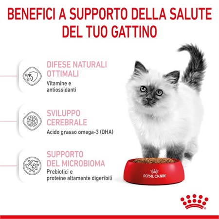 Royal Canin Kitten 4 kg Cibo Per Gatti Cuccioli in Gatti