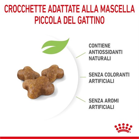 Royal Canin Kitten 4 kg Cibo Per Gatti Cuccioli in Gatti