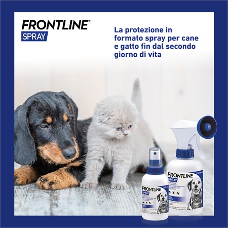 Frontline Spray 250 ml per Cani e Gatti in Gatti