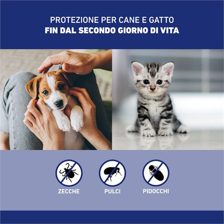 Frontline Spray 250 ml per Cani e Gatti in Gatti