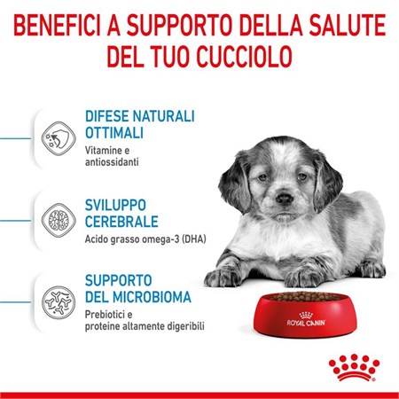 Royal Canin Medium Puppy 15 kg in Cani