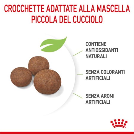 Royal Canin Medium Puppy 15 kg in Cani