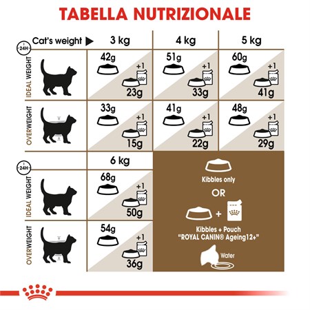 Royal Canin Senior Ageing + 12 Gatto Anziano 4 Kg Crocchette in Gatti