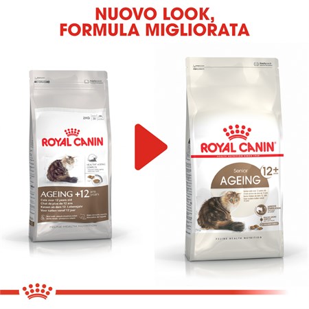 Royal Canin Senior Ageing + 12 Gatto Anziano 4 Kg Crocchette in Gatti
