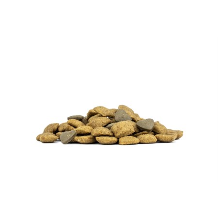 Forza 10 Active VetDiet Urinary All Breed 1,5 kg Crocchette Per Cani in Cani