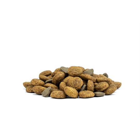 Forza 10 Active Vet Diet Mini Toy Renal 1,5 kg Crocchette Per Cani in Cani