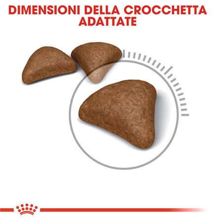 Royal Canin Care Hairball 4 kg Gatto in Gatti