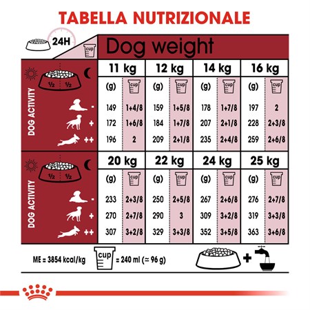 Royal Canin Medium Adult 7 + kg 15 in Cani