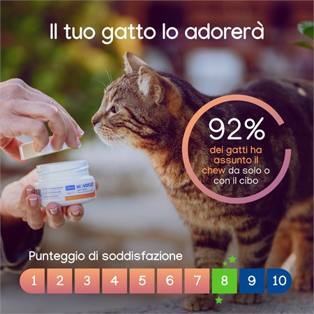 Virbac Movoflex Soft Chew 30 Compresse Masticabili Per Gatti in Gatti
