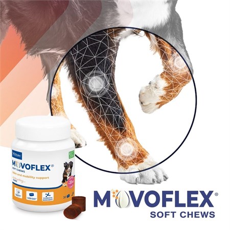 Virbac Movoflex Soft Chews Large 30 Compresse Per Cani in Cani