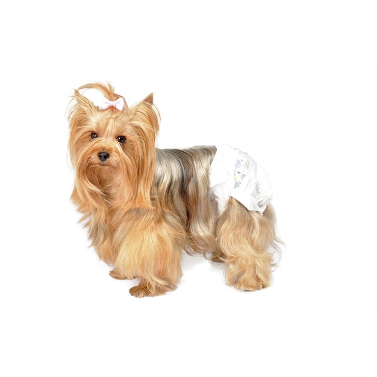 Camon 12 Pannolini Mutandina Taglia XS Per Cani Femmina