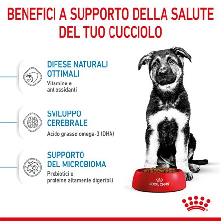Royal Canin Maxi Puppy 15 kg in Cani