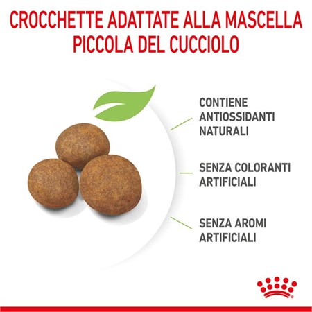 Royal Canin Maxi Puppy 15 kg in Cani