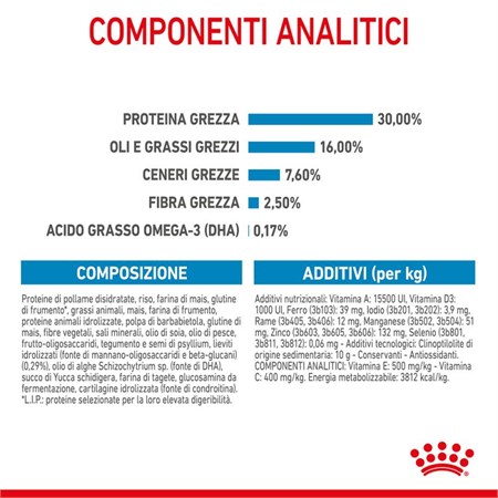 Royal Canin Maxi Puppy 15 kg in Cani