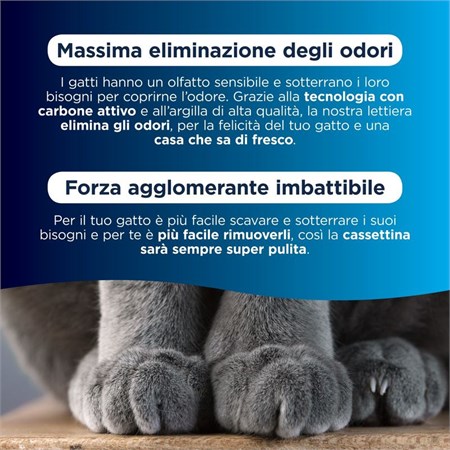 Lettiera Agglomerante Ever Clean Senior 10 lt Per Gatti Anziani in Gatti