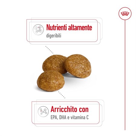 Royal Canin X Small Adult 1,5 kg per Cani Adulti in Cani